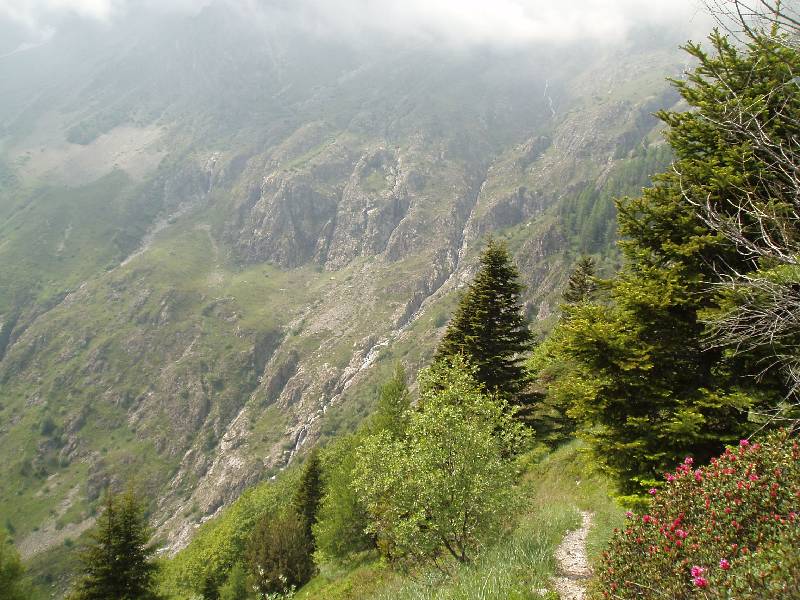 Youri - Ecrins 2005 395 